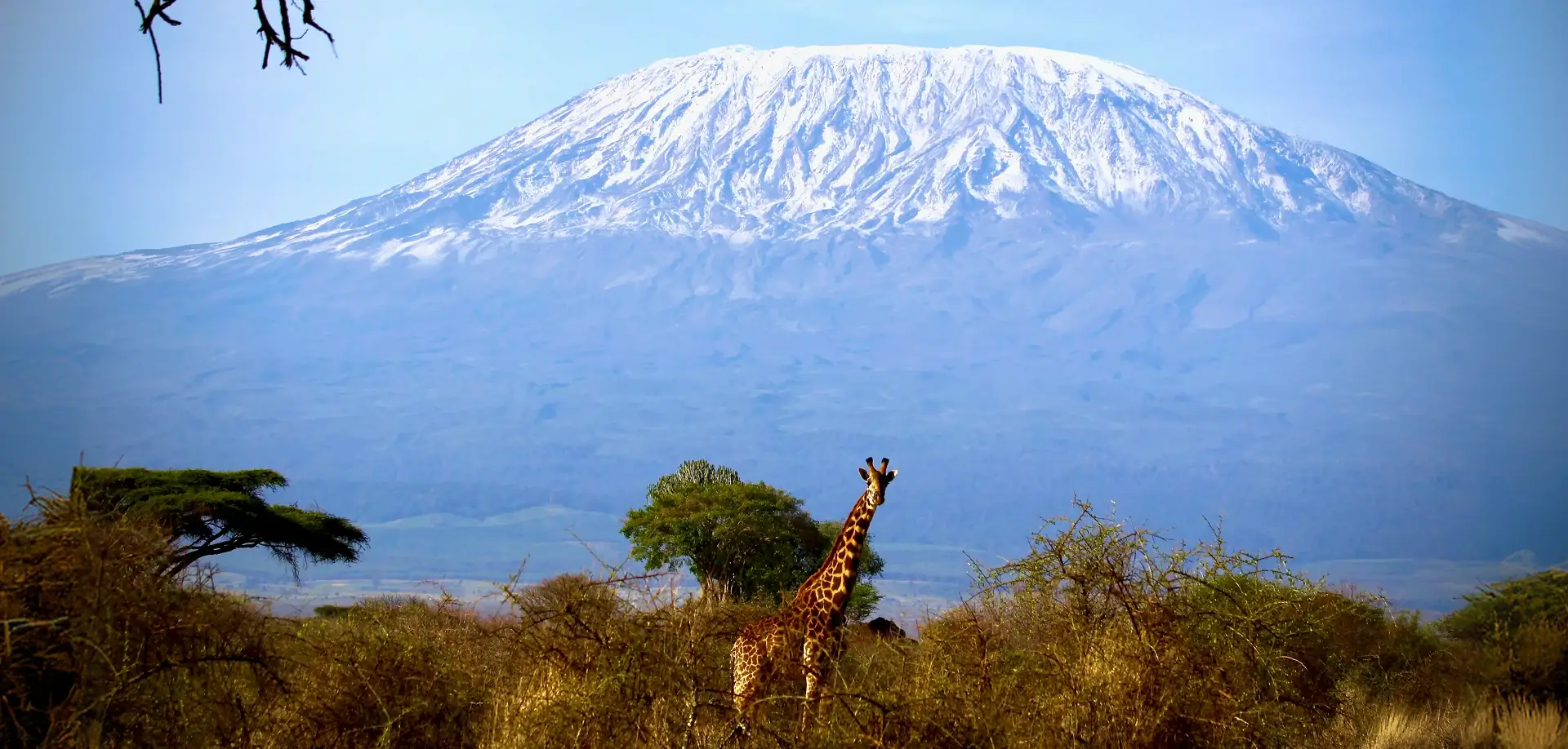 Amboseli National Park