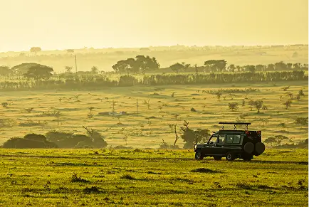 Amboseli National Park gallery image