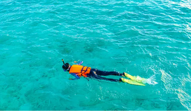 Snorkelling