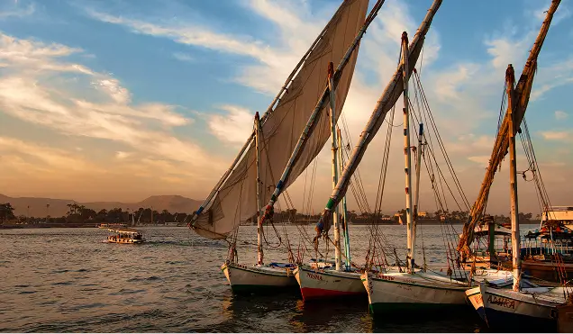 Dhow Cruises