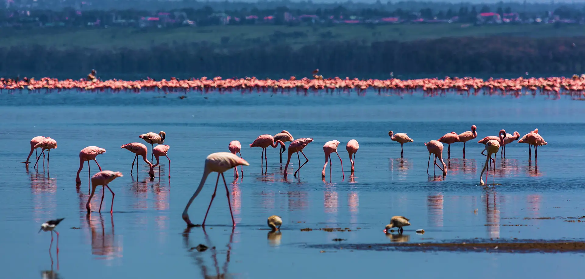 Lake Nakuru National Park