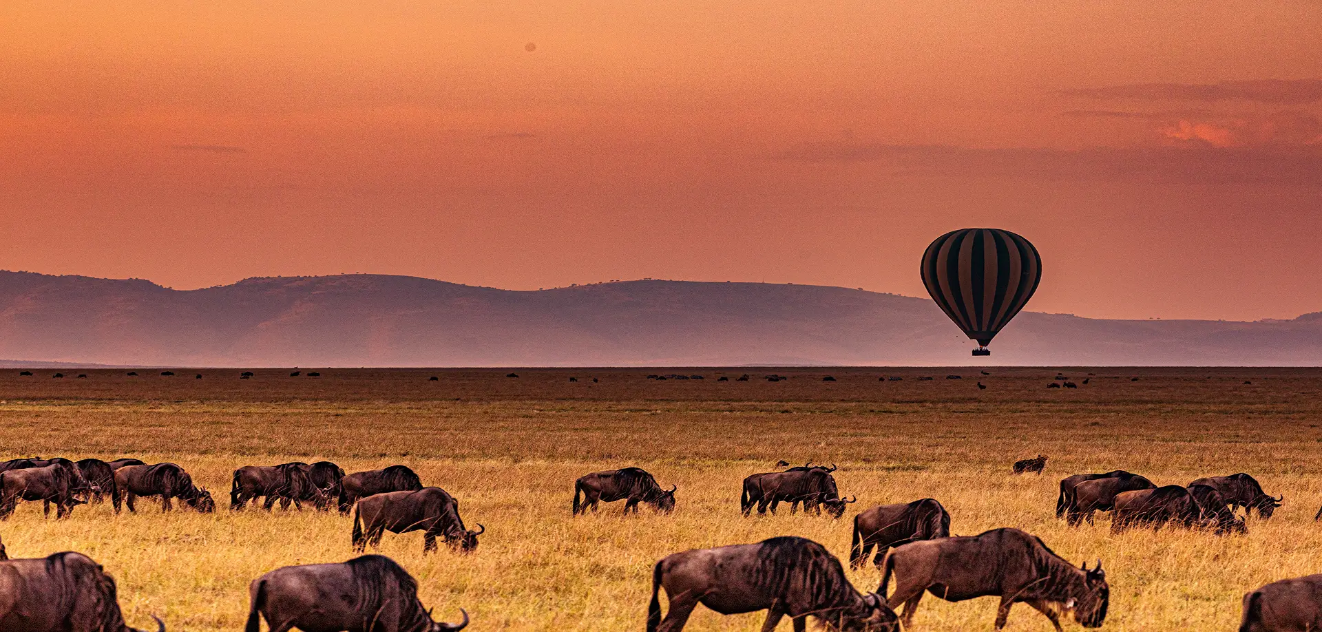 Maasai Mara National Reserve