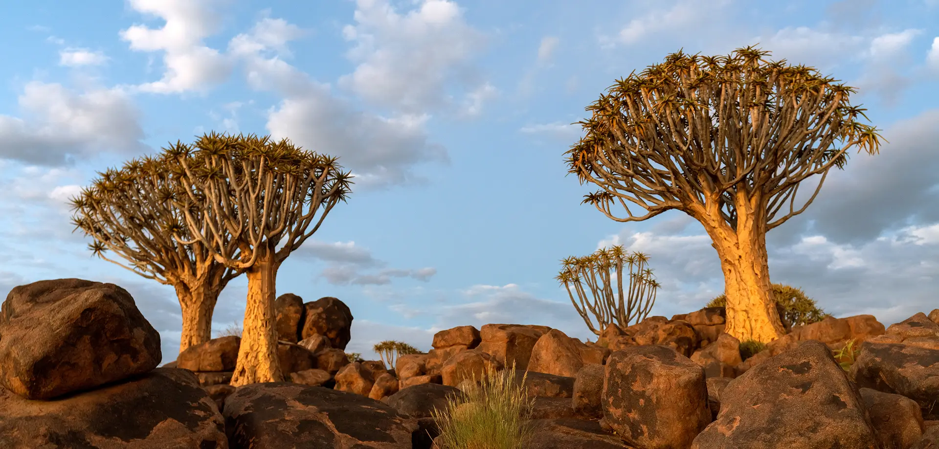 Samburu National Reserve