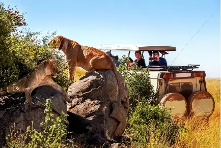 Tsavo National Parks gallery image