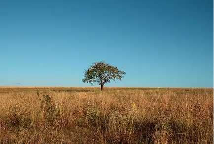 Maasai Mara National Reserve gallery image