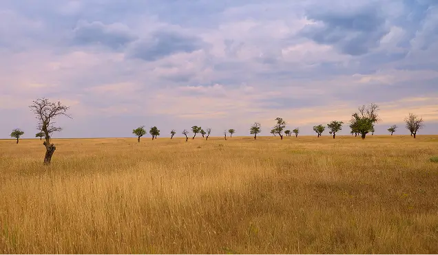 Landscape & Experiences